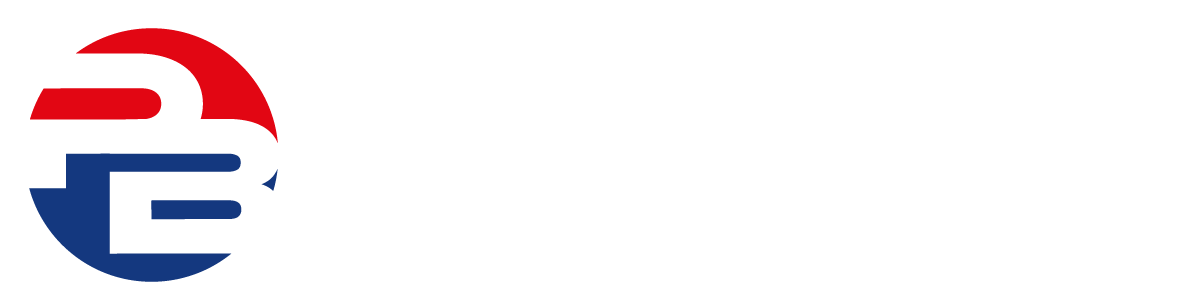 Logo Burgschwaiger GmbH - Footer